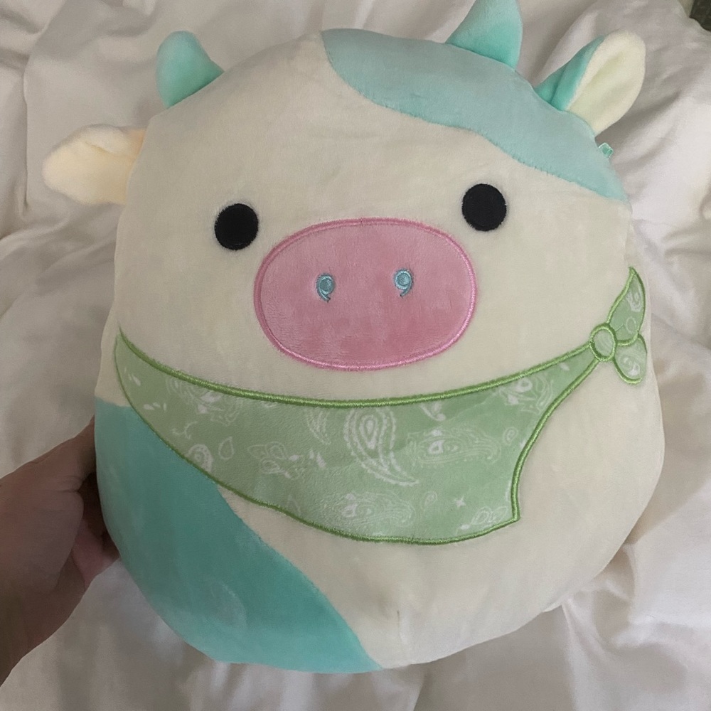 Belana cow squishmallow 💙💚